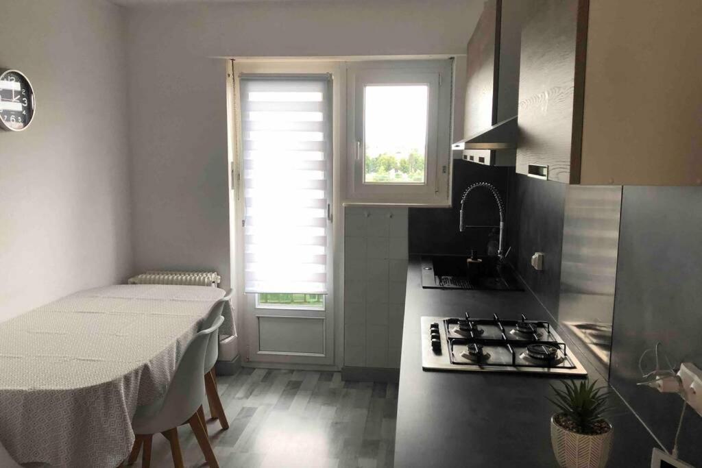 Tres Bel Appartement F4 Proche Gare Riedisheim المظهر الخارجي الصورة