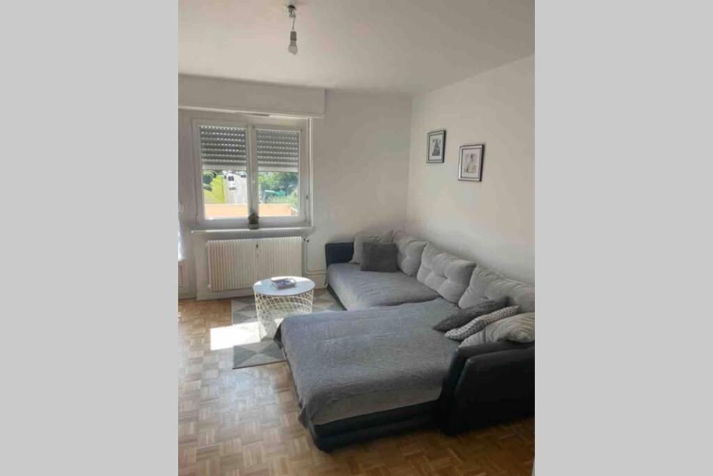 Tres Bel Appartement F4 Proche Gare Riedisheim المظهر الخارجي الصورة